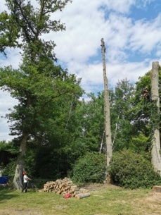 Démontage et abattage