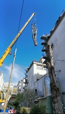 Démontage à la grue Palais de Tokyo
