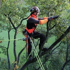 Société d'élagage proche de Beauvais